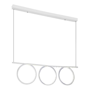 LED Полилей на верижка LOOP 3xLED/20W/230V бяла