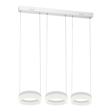 LED Полилей на верижка RING 3xLED/12W/230V