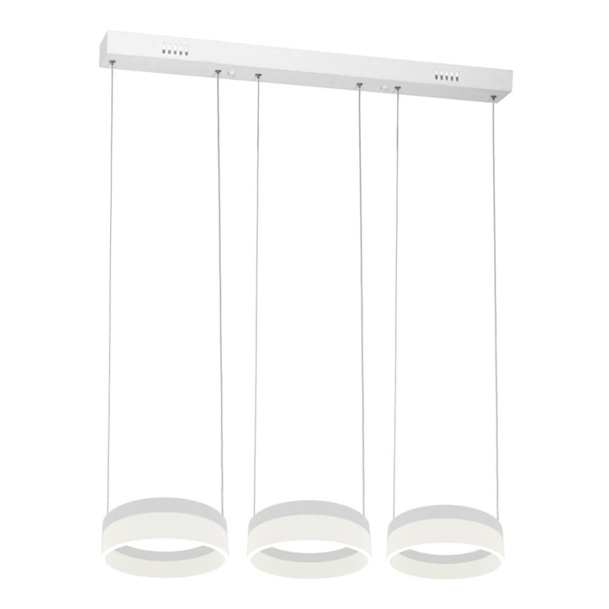 LED Полилей на верижка RING 3xLED/12W/230V