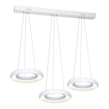 LED Полилей на верижка RONDO 3xLED/12W/230V