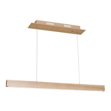 LED Полилей на верижка TIMBER LED/18W/230V