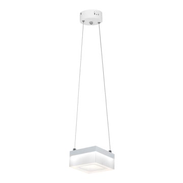 LED Полилей на въже CUBO LED/12W/230V квадратна
