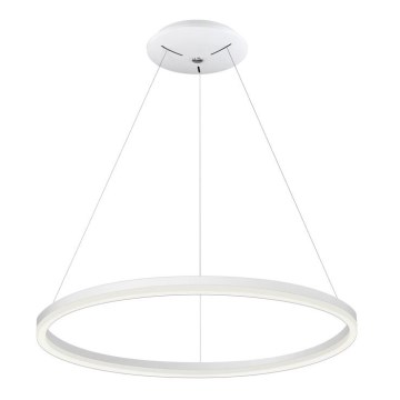 LED Полилей на въже DONA 800 LED/62W/230V
