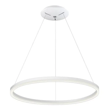 LED Полилей на въже DONA 800 LED/62W/230V