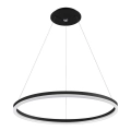 LED Полилей на въже DONA 800 LED/62W/230V