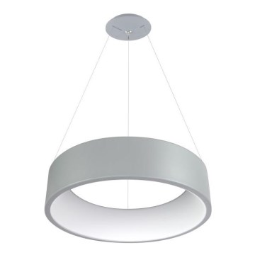 LED Полилей на въже KAJI LED/42W/230V