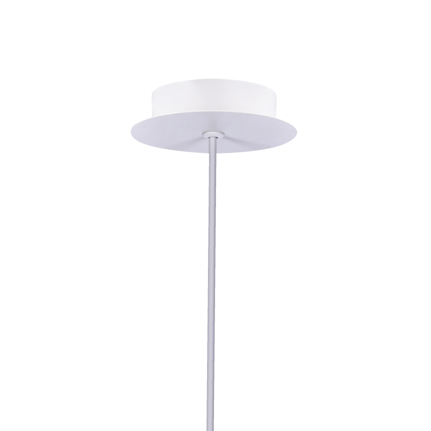 LED Полилей на въже MODENA LED/5W/230V