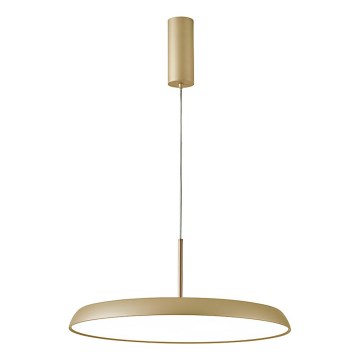 LED полилей на кабел ART LED/41W/230V златен