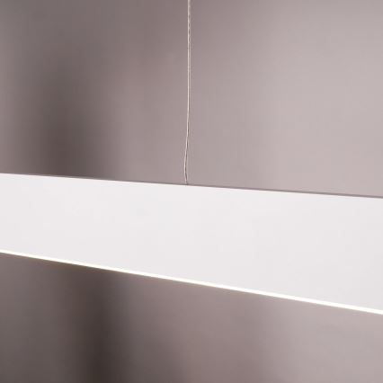 LED полилей на кабел BERNADETTA LED/20W/230V 4000K бял