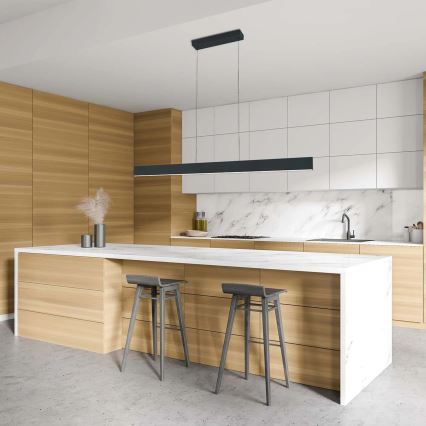 LED полилей на кабел BERNADETTA LED/20W/230V 4000K черен