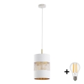 LED полилей на кабел BOGART 1xE27/15W/230V бял/златен