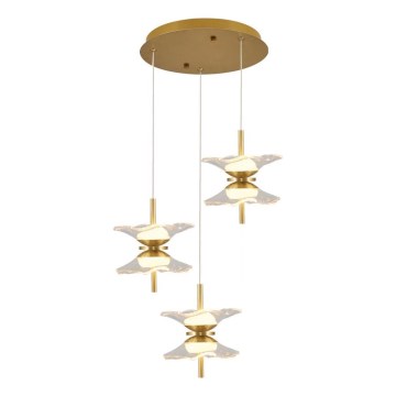 LED полилей на кабел BUTTERFLY 6xLED/5W/230V 3000K златист