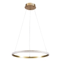 LED полилей на кабел DIANA LED/25W/230V 4000K Ø 50 см златист