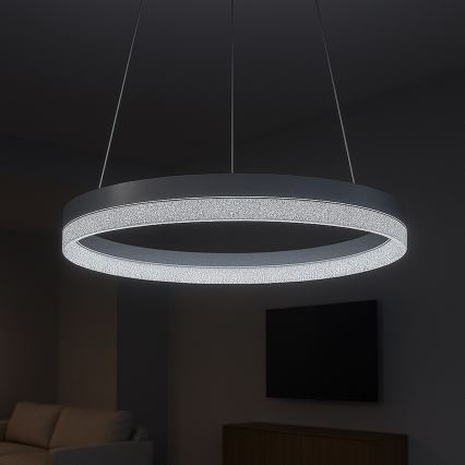 LED полилей на кабел GALA LED/25W/230V Ø 50 см, сребрист