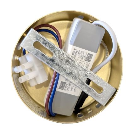 LED полилей на кабел LAGOS LED/8W/230V златист
