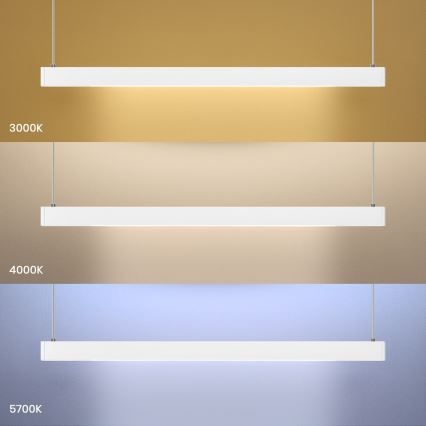 LED полилей на кабел LINEA LED/36W/230V 3000/4000/5700K CRI 90 бял