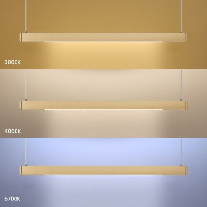 LED полилей на кабел LINEA LED/36W/230V 3000/4000/5700K CRI 90 златист