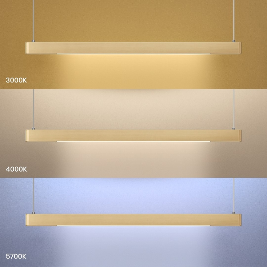 LED полилей на кабел LINEA LED/36W/230V 3000/4000/5700K CRI 90 златист