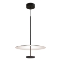 LED полилей на кабел ROSS LED/13W/230V черен/бял
