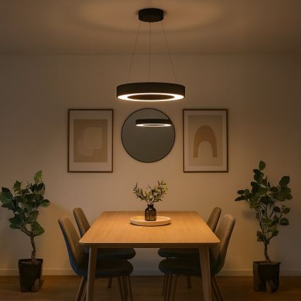 LED полилей на кабел UNION LED/40W/230V 3000/4000/6500K pr. 40 cm черен