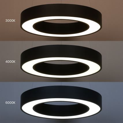 LED полилей на кабел UNION LED/40W/230V 3000/4000/6500K pr. 40 cm черен