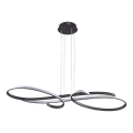LED полилей на кабел VIOLIN LED/40W/230V черен