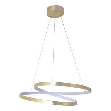 LED полилей на кабел ZEFIRA LED/40W/230V 4000K Ø 50 см златист