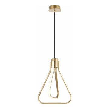 LED полилей на кабел ZING LED/19W/230V златен