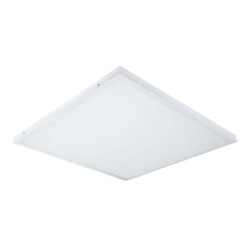 LED Повърхностен панел ILLY LED/42W/230V