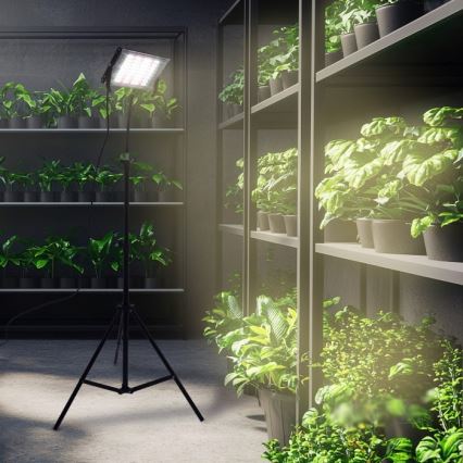 LED прожектор с поставка за отглеждане на растения FIRON LED/45W/230V IP54 черен