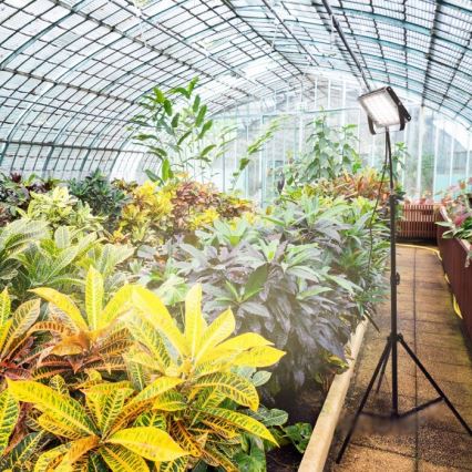 LED прожектор с поставка за отглеждане на растения FIRON LED/45W/230V IP54 черен