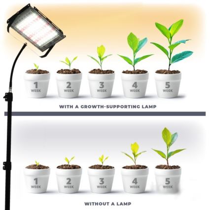 LED прожектор с поставка за отглеждане на растения FIRON LED/45W/230V IP54 черен