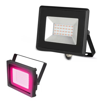 LED Прожектор LED/20W/230V IP65 розов лампа