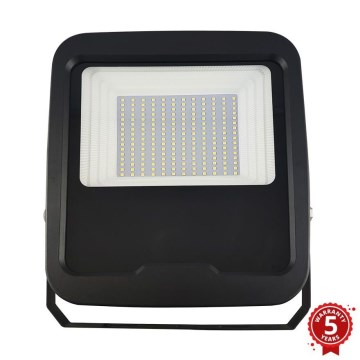 LED Прожектор PROFI LED/100W/180-265V 5000K IP65