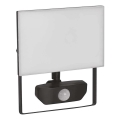 LED Прожектор със сензор TAMBO LED/30W/230V 4000K IP54