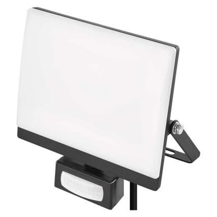 LED прожектор със сензор за движение и сумрак TAMBO EVO LED/30W/230V 4000K IP44 черен