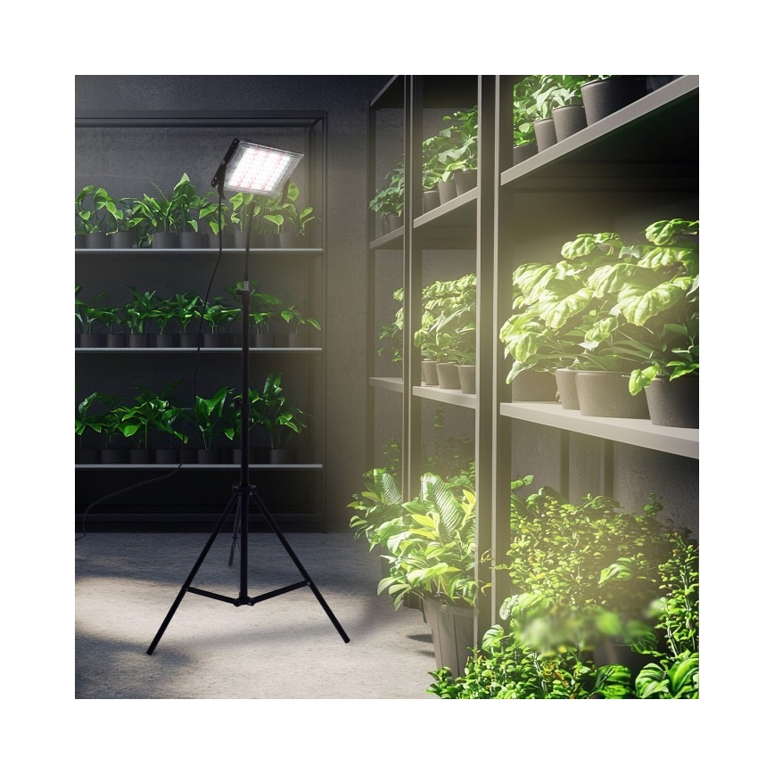 LED Прожектор със стойка за отглеждане на растения FIRON LED/45W/230V IP54 черен