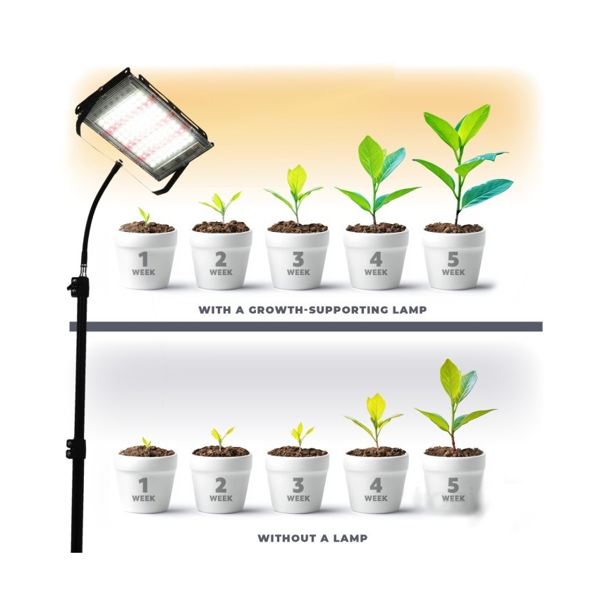 LED Прожектор със стойка за отглеждане на растения FIRON LED/45W/230V IP54 черен