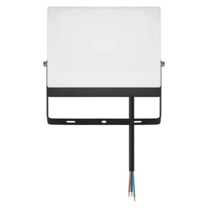 LED прожектор TAMBO EVO LED/50W/230V 4000K IP65 черен