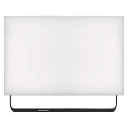 LED Прожектор TAMBO LED/50W/230V 4000K IP65