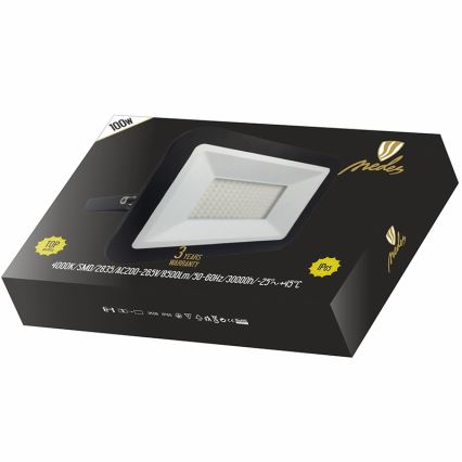 LED Рефлектор LED/100W/230V IP65
