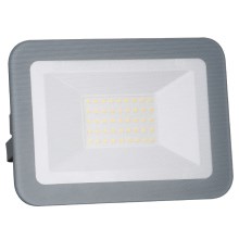 LED Рефлектор LED/30W/230V IP65