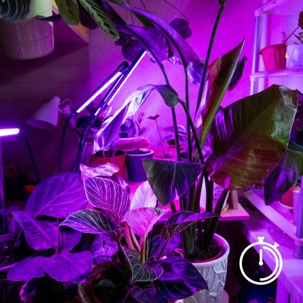 LED регулируема гъвкава настолна лампа с клипс за отглеждане на растения VITARO 3xLED/10W/230V черна