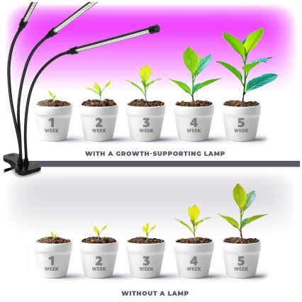 LED регулируема гъвкава настолна лампа с клипс за отглеждане на растения VITARO 3xLED/10W/230V черна