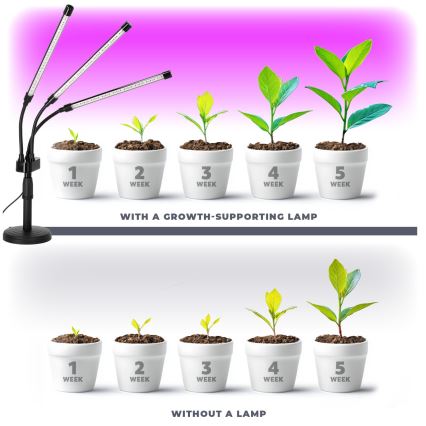 LED регулируема гъвкава настолна лампа за отглеждане на растения VITARO 3xLED/10W/230V черна