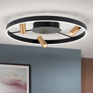 LED регулируемо таванно осветително тяло BERLIN LED/50W/230V черно/златно