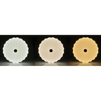 LED регулируемо таванно осветително тяло FLOWER LED/36W/230V + дистанционно управление