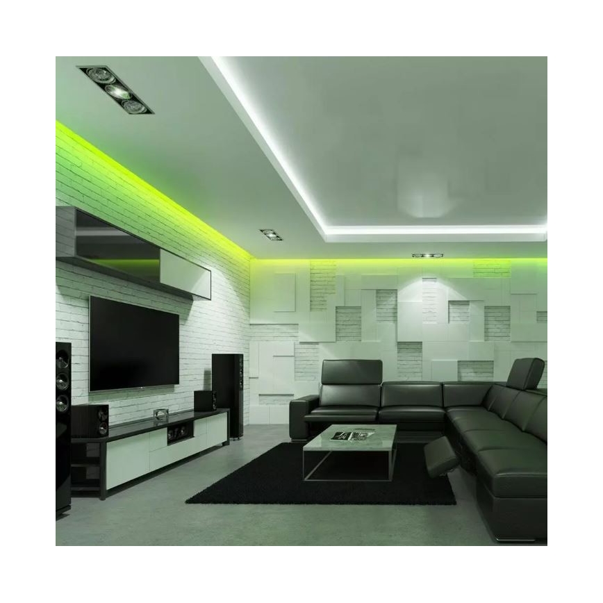 LED RGB Димируема лента 2x5м LED/4,8W/230V + д.у.