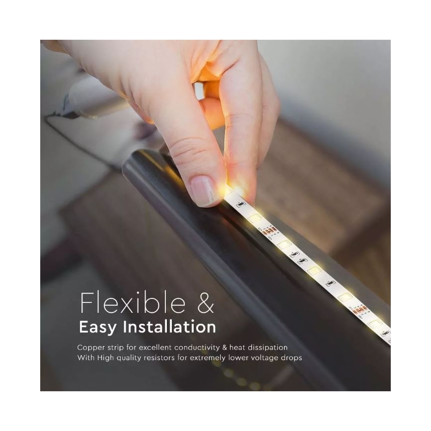 LED RGB Димируема лента 2x5м LED/4,8W/230V + д.у.