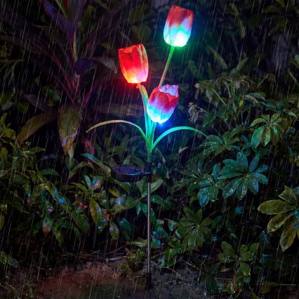 LED RGB соларна декоративна лампа 3xLED/3,7V 200 mAh IP44 тюлпан